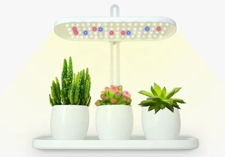 Lámpara Hidroponia 3 Potes