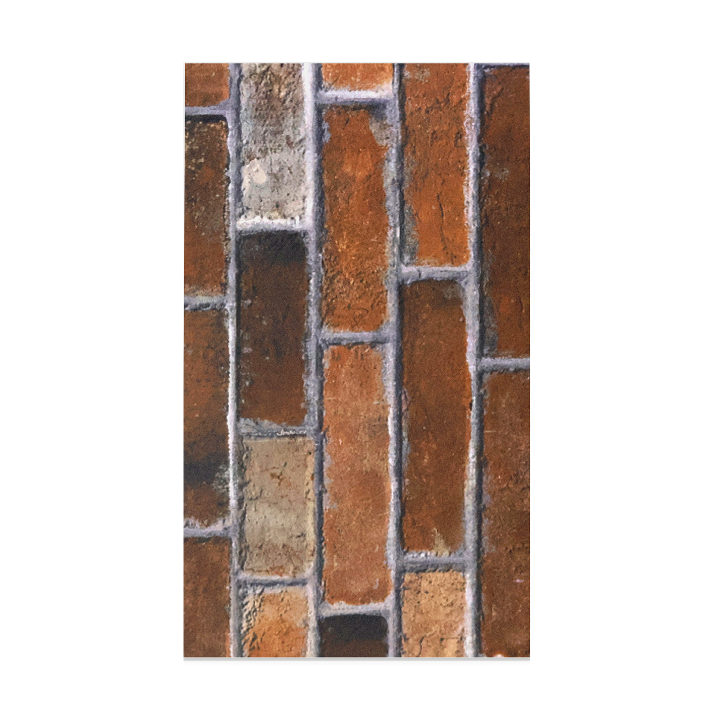 Revestimiento de Pared Arauca 30.25X61-1 1.85M2